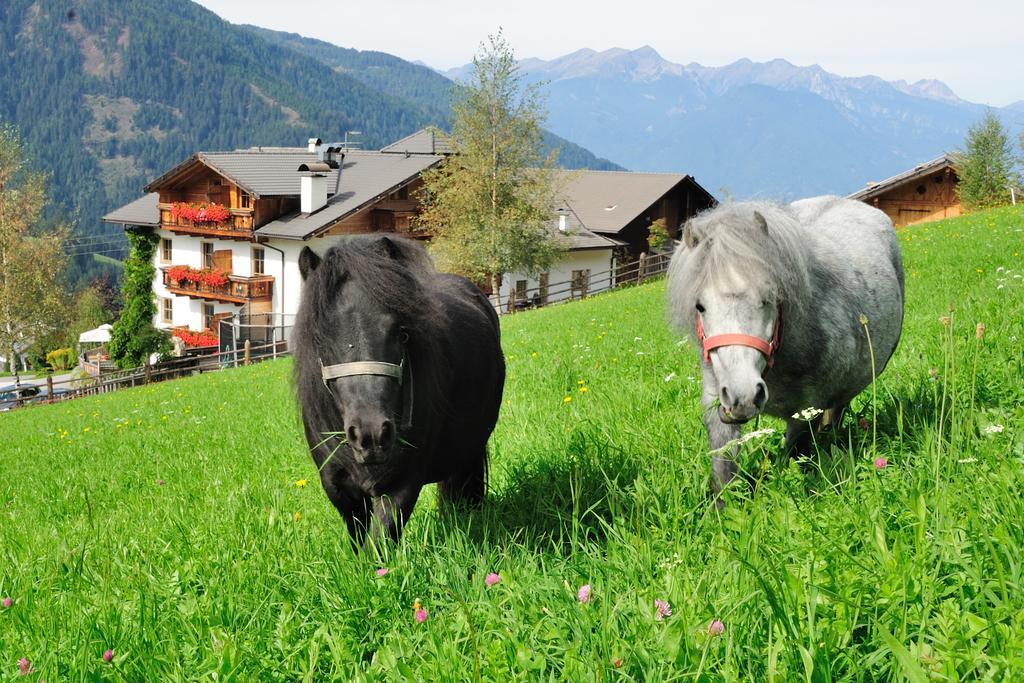 Hotel Kompatscherhof Luson Eksteriør bilde